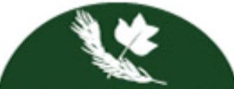 green-feather green-feather