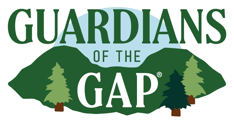 Guardians of the Gap